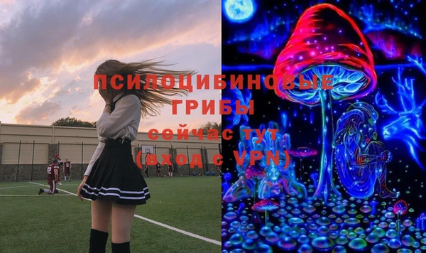 твердый Абаза