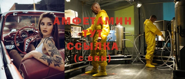 твердый Абаза