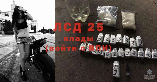 твердый Абаза