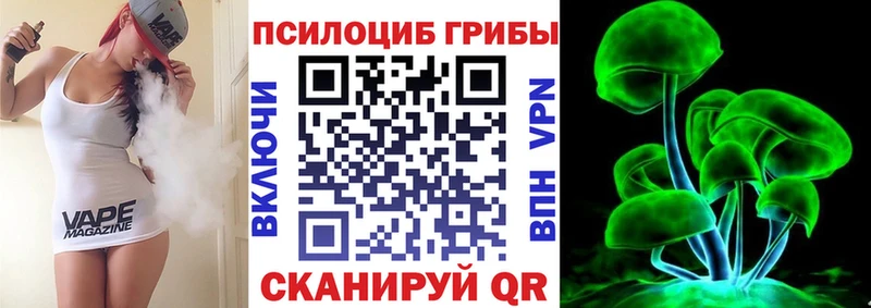Псилоцибиновые грибы Psilocybe  где купить наркоту  Белая Калитва 